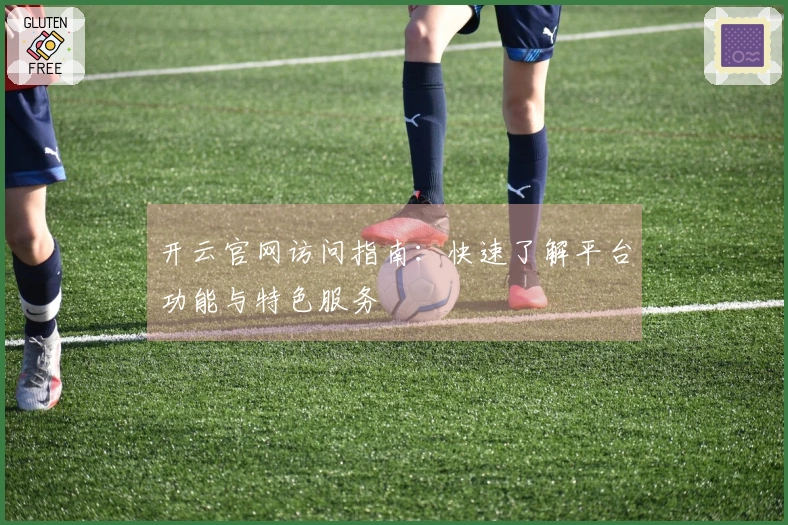 开云官网访问指南：快速了解平台功能与特色服务